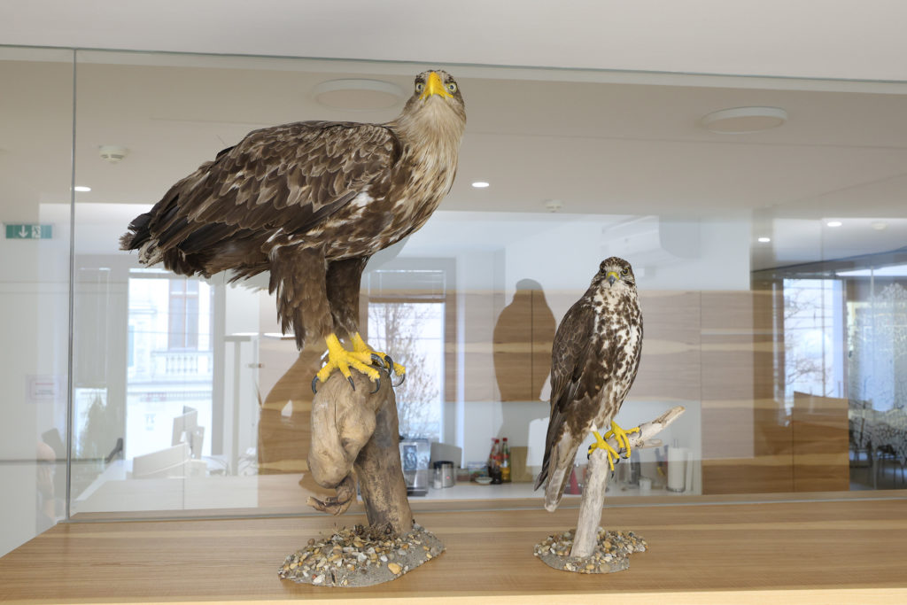 NWU Netzwerk Umwelt Office 1070 Wien
